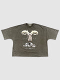 Olive Wash