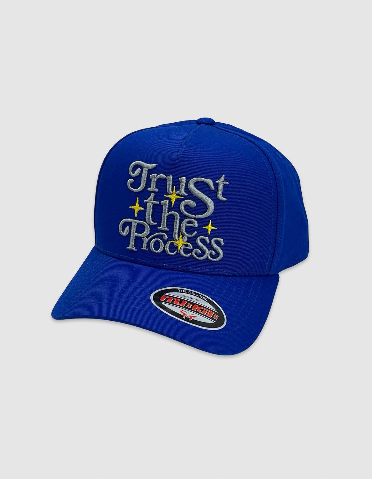Trust The Process Snapback