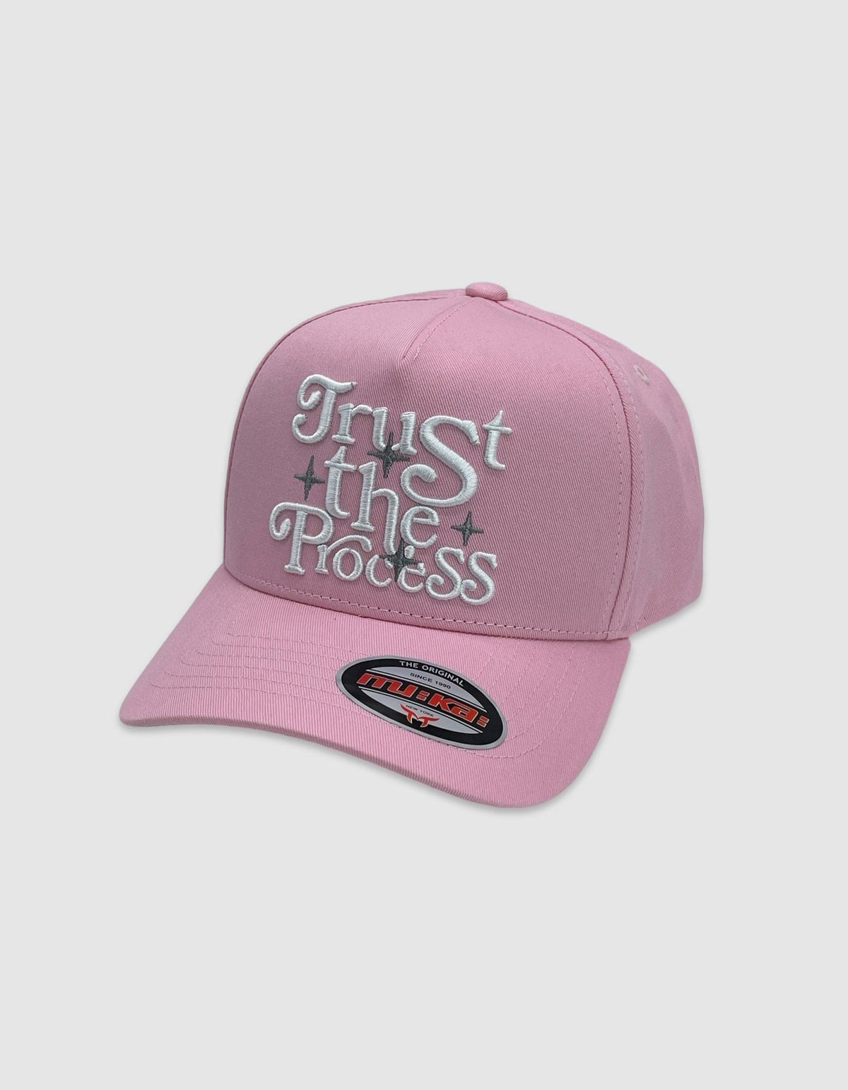 Trust The Process Snapback