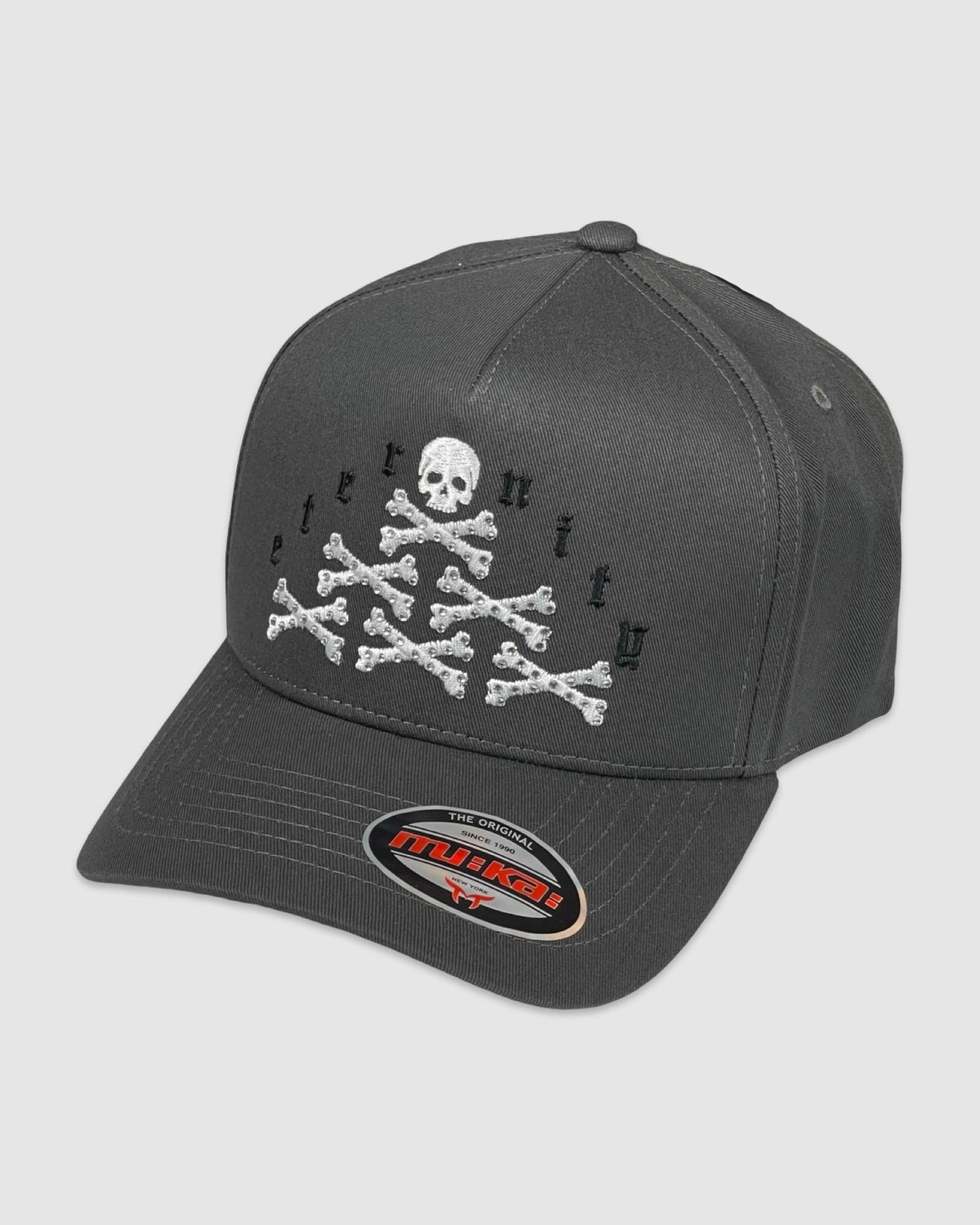 Eternity Stone Snapback - Charcoal