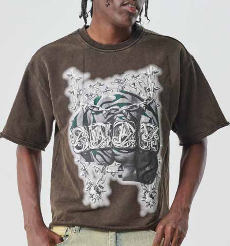 Sway Washed Terry Crop Tee - Brown